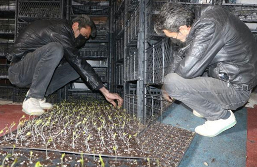 Hakkari'de bu iş için evinden vazgeçti! Bu yıl servet kazanacağını söylüyor
