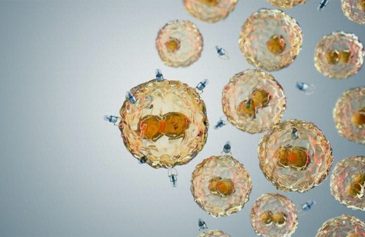 Mikroplastik kirliliği ile savaşmak için yaşayan robotlar geliştirildi