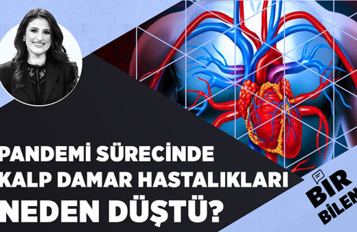 Pandemi sürecinde kalp damar hastalıkları neden düştü?