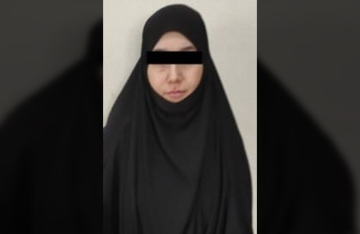 Gri listede aranan DEAŞ'lı kadın terörist Şanlıurfa'da sınırı geçerken yakalandı