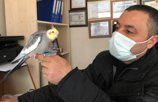 Sakarya'da papağanın söylediği şarkıyı duyanlar inanamadı