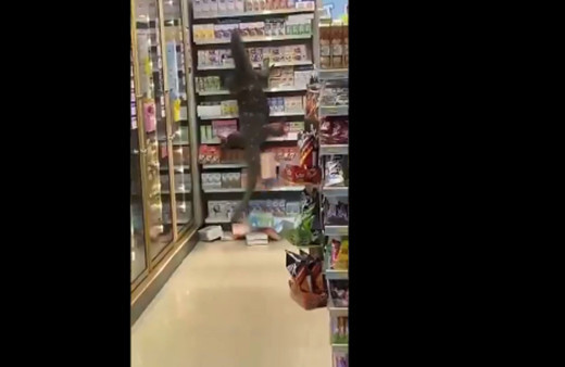 Komodor ejderi markete daldı müşteriler dondu kaldı o anlar kamerada