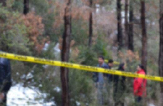 Sinop'ta kayıp olarak aranıyordu! Ormanda cesedi bulundu