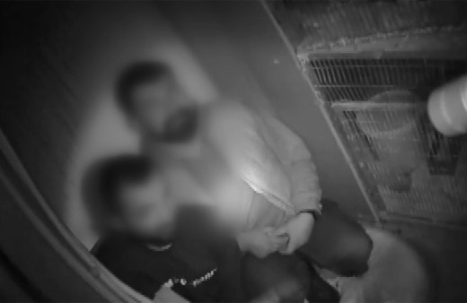 Muğla'da horoz dövüştüren 20 kişiye paraya cezası