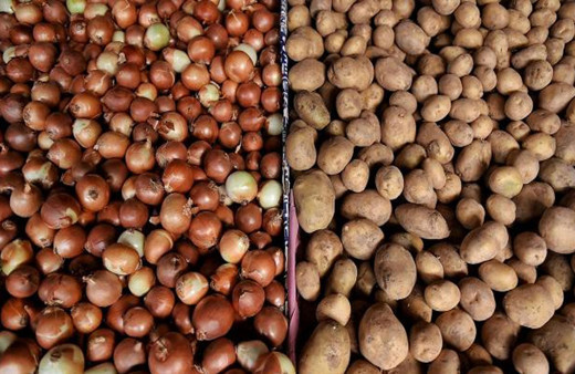 Tarım ve Orman Bakanlığı: Üreticilerden patates ve kuru soğan alımına başlandı