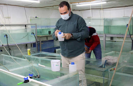 Antalya'da üretti Gana'dan sipariş yağdı! Masaj etkisi yaratıyor