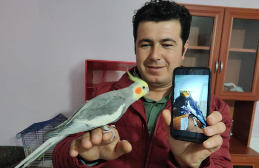 Amasya'da papağan ıslıkla Ölürüm Türkiye’m parçasını söylüyor ilgi odağı oldu