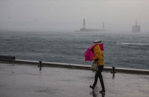 Fırtına sebebiyle limonda yüzde 70'e kadar hasar tespit edildi
