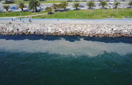 Kartal Sahili'nde endişelendiren görüntü! 'Deniz salyası' sahil boyunu kapladı