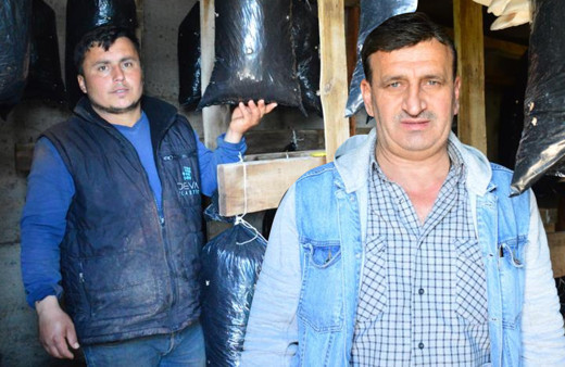 Askerde görüp hobi olarak Sakarya'da başladı! 2 bin lira kar etti