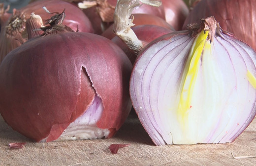 Koronavirüse ‘kırmızı soğan’ etkisi; virüsün akciğer tutulumunu engelliyor