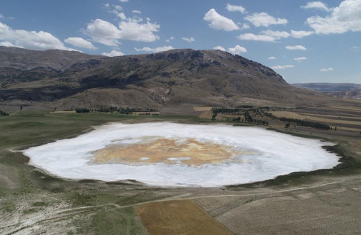 Sivas'ta ilginç görüntüsüyle korkutmuştu! Sevindiren haber geldi