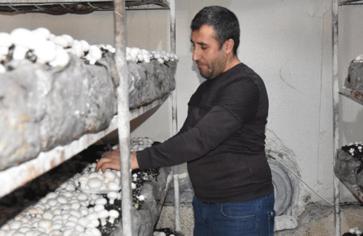 Bitlis'te kendi işini kurdu yılda 240 ton satıyor! Dört bir yandan sipariş yağıyor