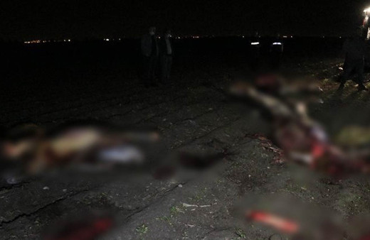 Adana'da polis ekipleri ihbar üzerine gitti korkunç manzarayla karşılaştı kesip parçalamışlar