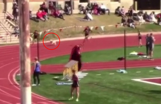 Atletizm yarışmasında şaşkına çeviren anlar! Tribünden atlayıp girdi