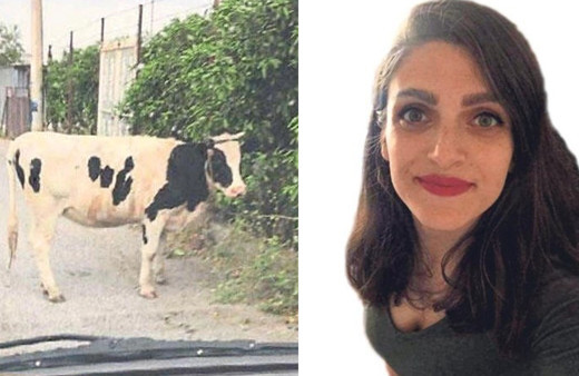 İzmir'de paylaştığı inek fotoğrafı genç kadının başını yaktı! Bakın ne ceza aldı