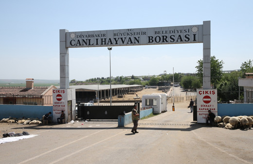 Diyarbakır'da hayvan borsasında silahlar çekildi: Ölü ve yaralılar var