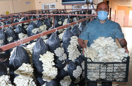 Arkadaş tavsiyesiyle Şırnak'ta üretime başladı! Köyünde 16 ton kapasiteli tesis kurdu