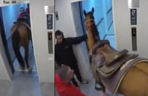 Asansöre atla binmeye çalıştı! Savunması pes dedirtti