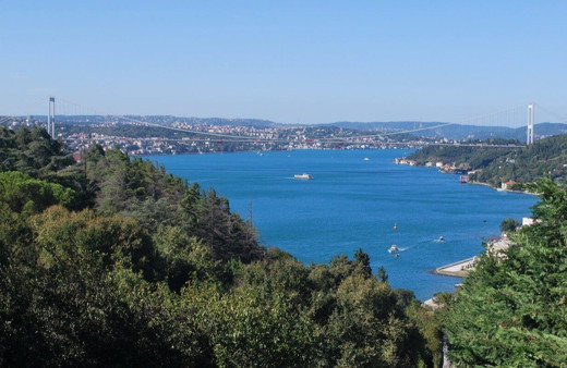 Onlarca gemi deniz salyangozu avı için İstanbul Boğazı'na akın etti