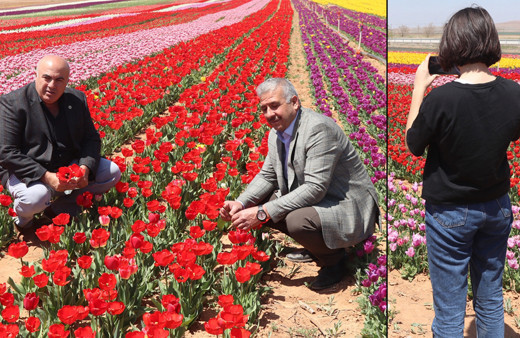 Hollanda'dan Karaman'a dönüş yaptı! Bu işe başladı 11 ülke sipariş için sırada