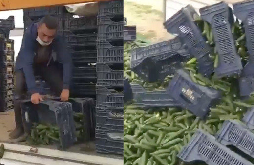 Antalyalı çiftçi "ürünüm para etmiyor" diye salatalıkları yola döktü