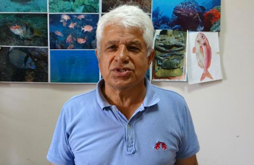 Prof. Dr. Gökoğlu çarpıcı uyarı: Denizde, kıyıda balon balığı görmeye alışmalıyız