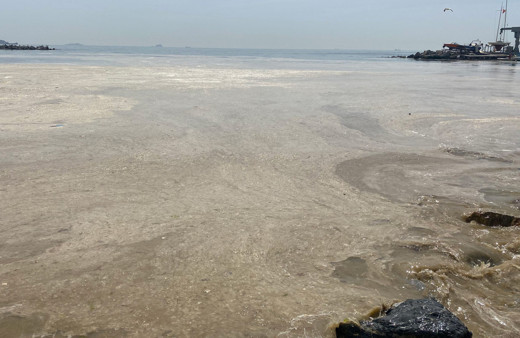 Deniz salyasıyla gelebilecek büyük tehlike uzman isim uyardı felç bile geçirebilirsiniz