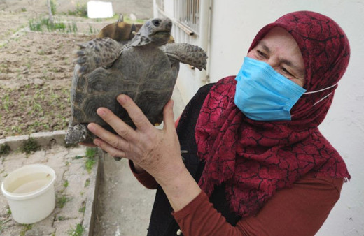 Amasya'da böylesi görülmedi! Terlik içinde büyüttü evladı gibi oldu: Günlerce ağladım