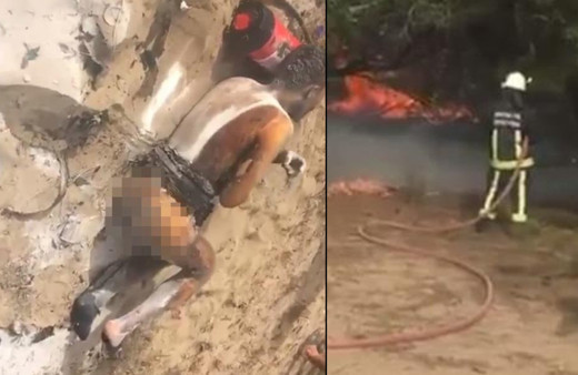 Antalya'da korkunç olay! Hem kendini hem ormanı yaktı acı içinde kıvrandı