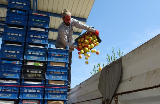 Bursa'da tonlarca meyve soğuk hava depolarında kaldı