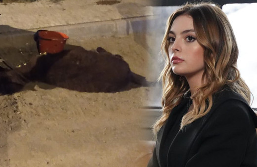 Yol kenarında ölmek üzereyken buldular! Sadakatsiz yıldızı Melis Sezen takdirleri topladı