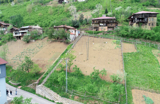 Trabzon'da görenler merak edip soruyor! Karadeniz inadı yüzünden çok masraf yaptılar