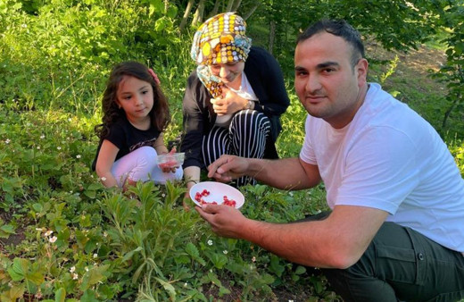 Ordu'da 200 TL'ye satılıyor! 4 saatte bir kilo toplanabiliyor
