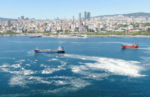 İstanbul sahillerini istila eden deniz salyalarında yoğunluk arttı