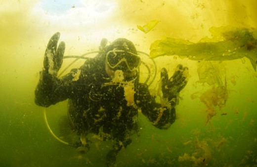 Durum fena! Marmara Denizi'ndeki salya su altını da sardı