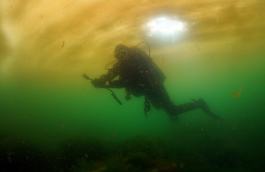 Marmara Denizi'ndeki salya su altını da sardı
