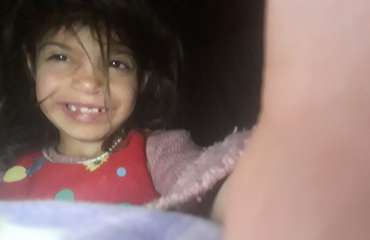 Saldırıya uğradı! Van'da 6 yaşındaki çocuk feci şekilde can verdi