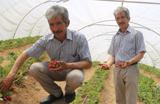 Kızı tavsiye edince Sivas'ta bu işe başladı! Siparişlere yetişemiyor