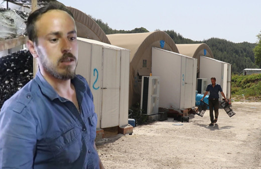 Yılda 35 milyon TL kazanç! 25 taneyle başladı Hatay'da paraya para demiyor