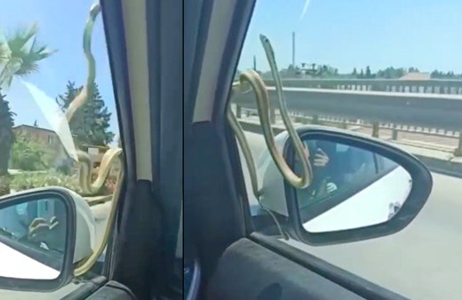 Antalya'da korkutan yolculuk! Aracıyla giderken hayatının şokunu yaşadı