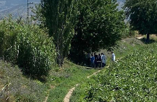 Aydın'da dut ağacına kendini astı intihar notu bıraktı Beş kıta gezdim, hiçbir şey anlamadım