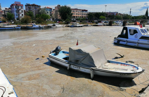 Çanakkale Boğazı'ndan sonra Sarıçay da müsilaj ile kaplandı