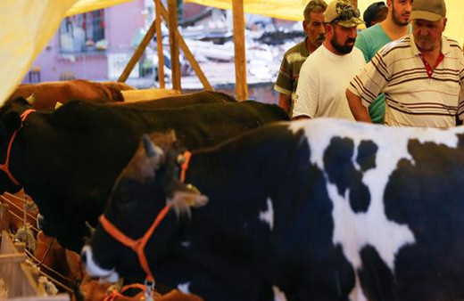 Kurban Bayramı ne zaman 2021? Kurban Bayramı hangi güne denk geliyor?