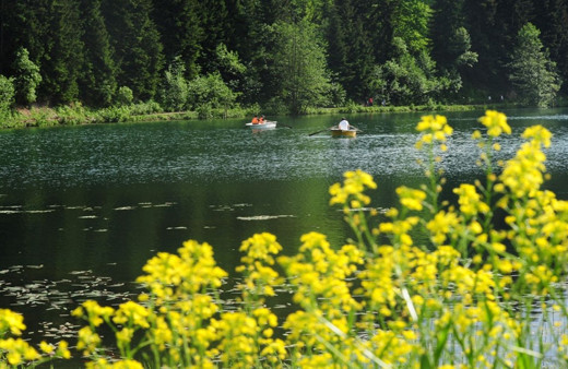 Tam kapanma sonrası doğa ve kültür turlarına talep arttı