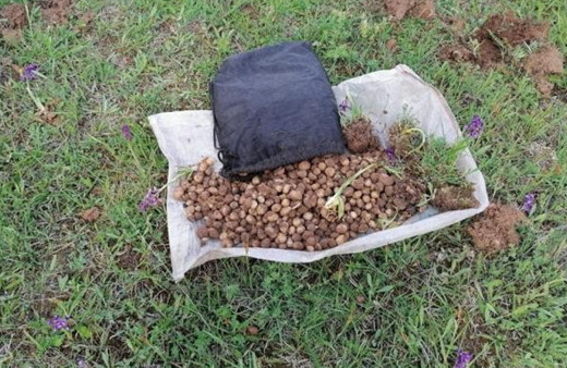 Bolu'da hayatlarının hatasını yaptılar! 321 bin TL ceza yediler