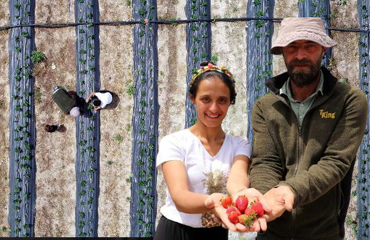 Şehirden köye döndüler hayatları değişti! Kayserili çift üretici oldu: Başka kimse yok
