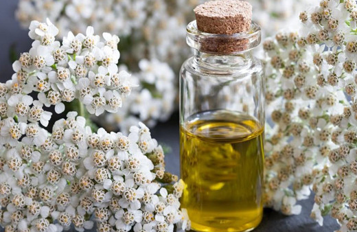 Civanperçemi faydaları 1 çay bardağı civanperçeminin inanılmaz yararı!