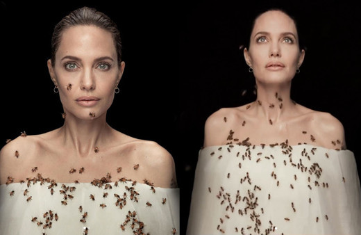 Angelina Jolie 18 dakika boyunca kıpırdamadan arılarla poz verdi sebebi ise bakın ne