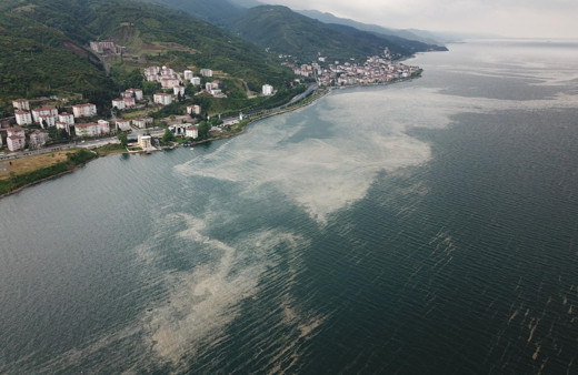 Deniz salyası İzmit Körfezi’ne geri döndü